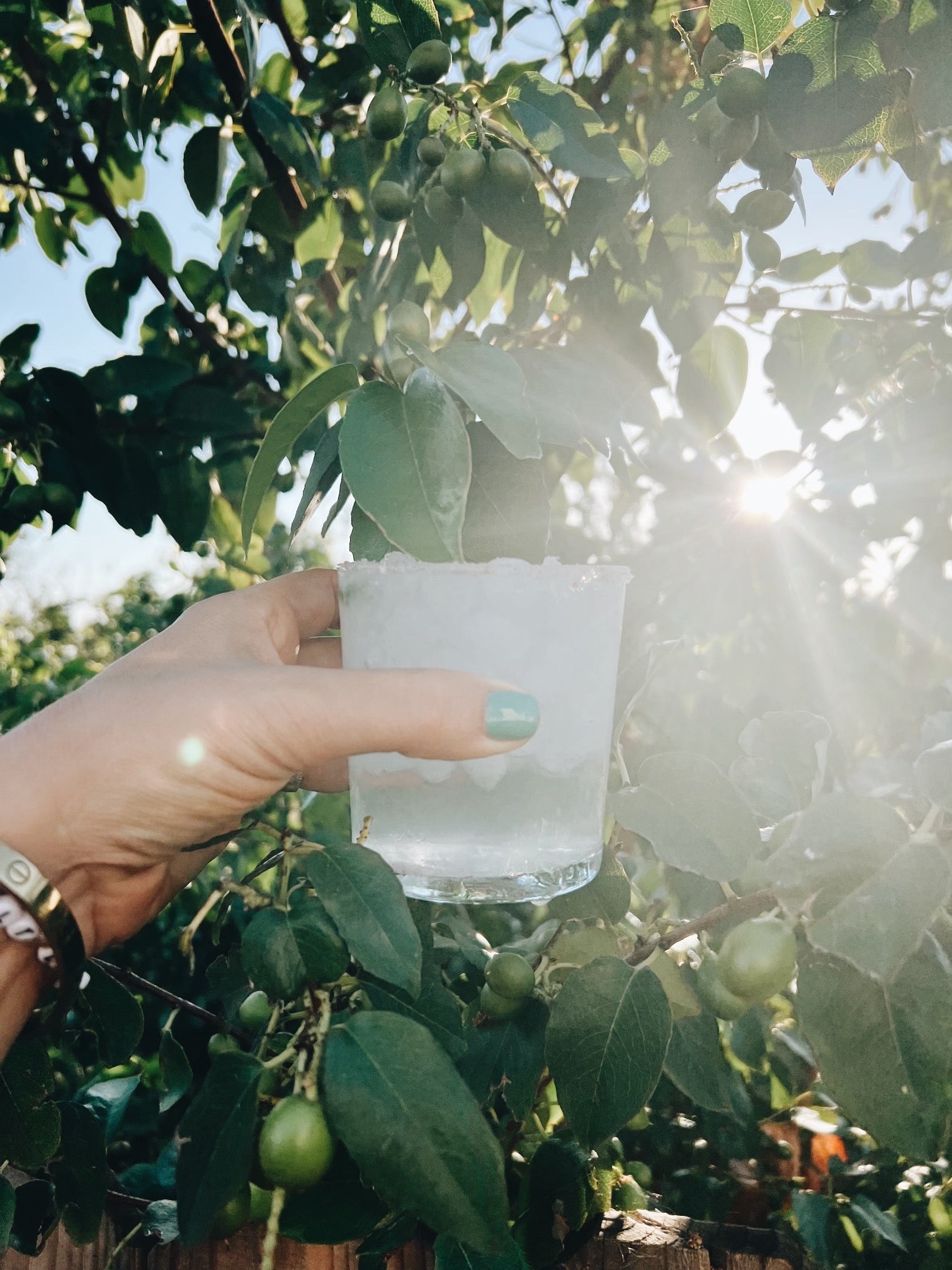 Summer Virgin Margarita Recipes