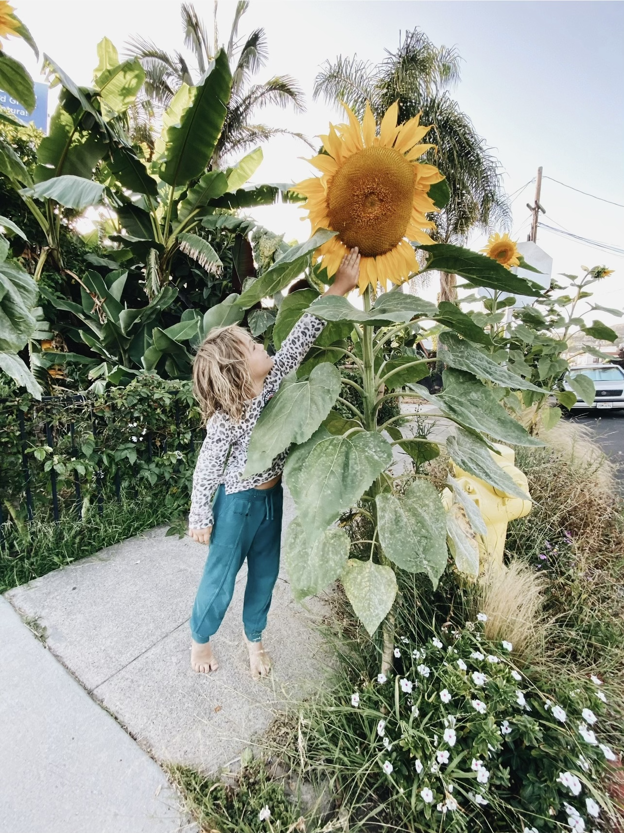 6 Fun + Stress-Free Summer Family Activities!