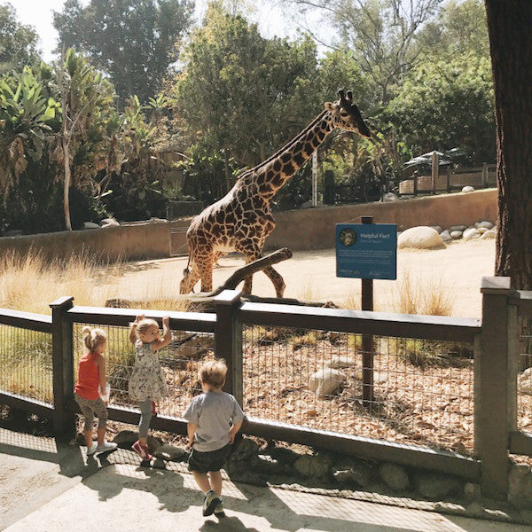 LA Zoo + a CJ's Fave Lunch Spot