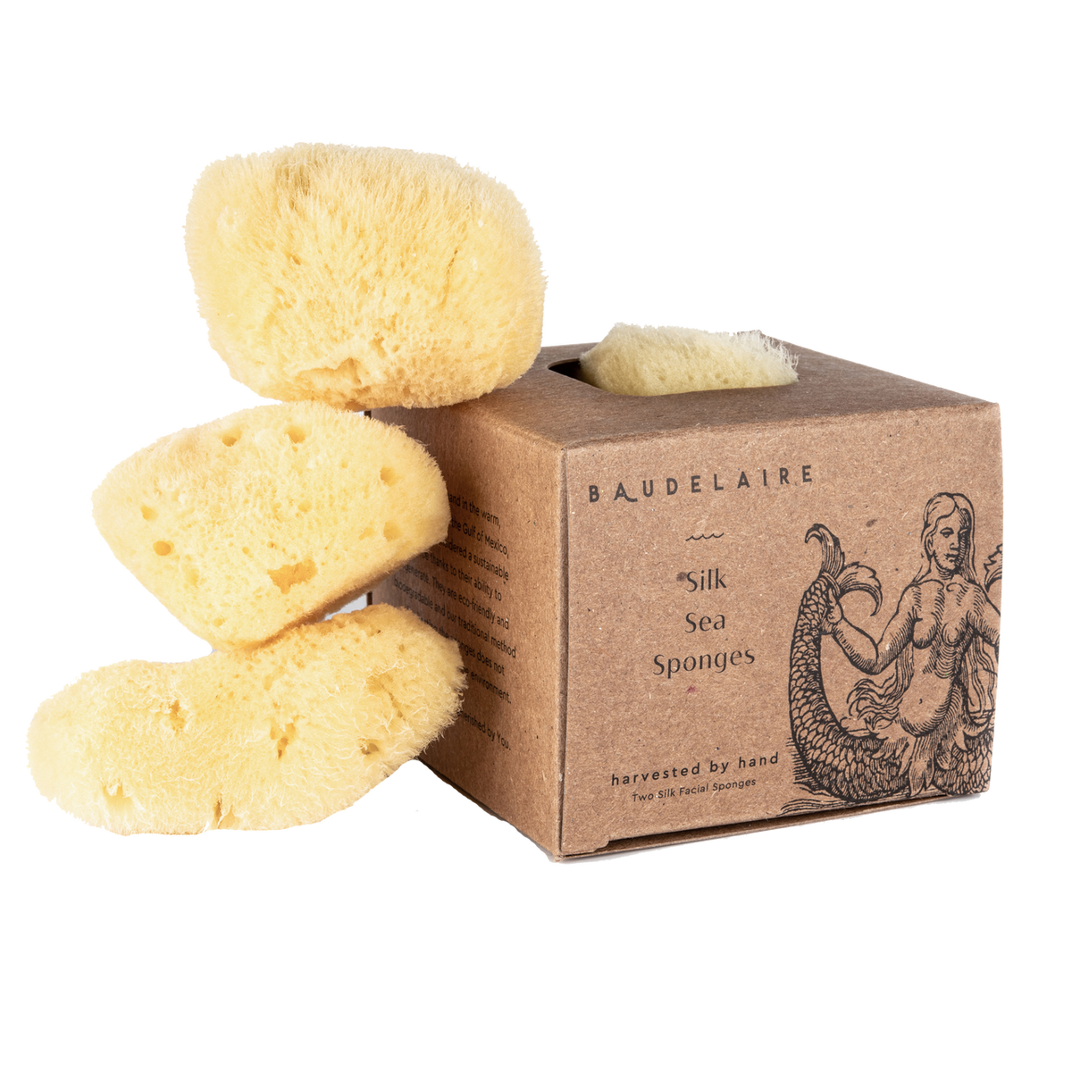 Silk Sea Sponges, Pack of 2 CARLY JEAN LOS ANGELES